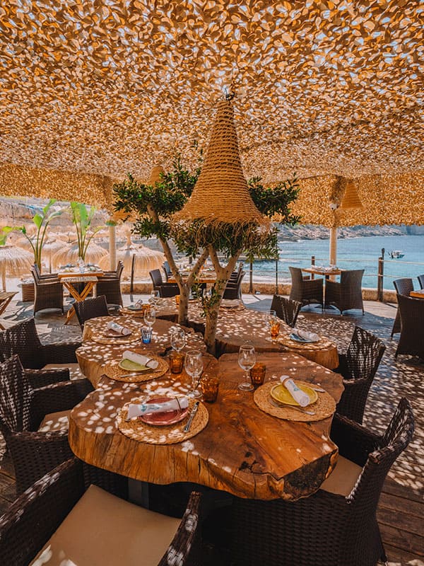 vorhochzeit auf mallorca